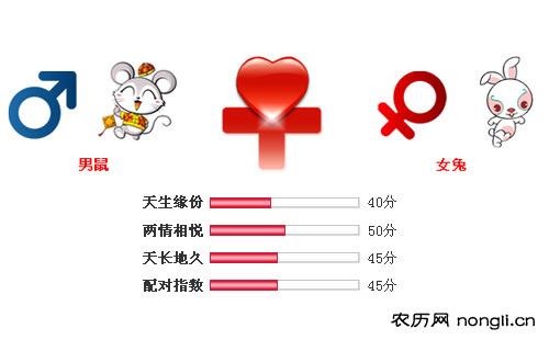 男属鼠和女属兔相配吗