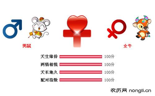 男属鼠和女属牛相配吗