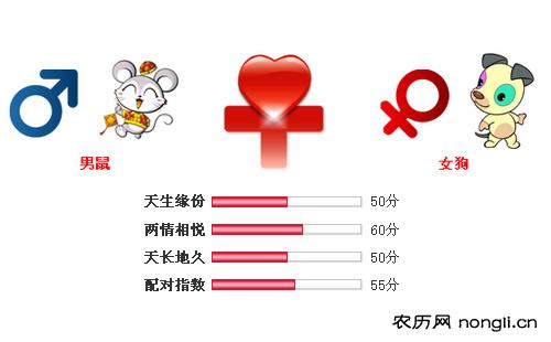 男属鼠和女属狗相配吗