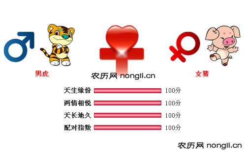 男属虎和女属猪相配吗