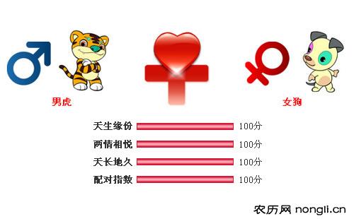 男属虎和女属狗相配吗