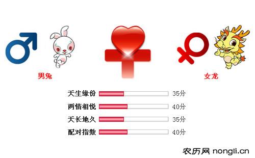 男属兔和女属龙相配吗