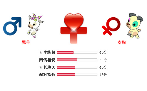 男属羊和女属狗相配吗