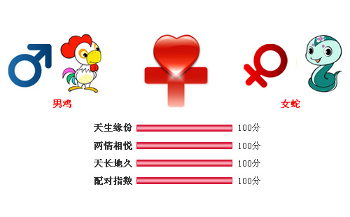 男属鸡和女属蛇相配吗