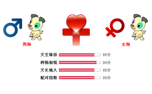 男属狗和女属狗相配吗